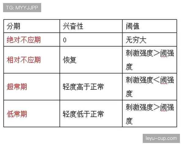 穆西亚拉国家德比对多特的决定性表现解析
